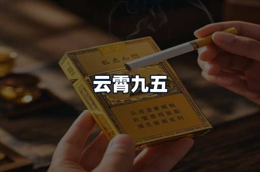 云霄九五